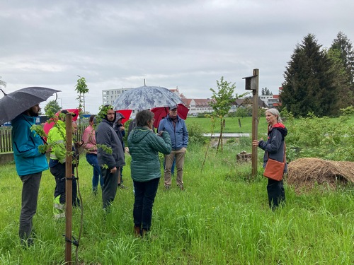 Eine Gruppe von Menschen mit Regenschirmen steht auf einer Wiese. Rechts steht Exkursionsleiterin Katrin Löning.